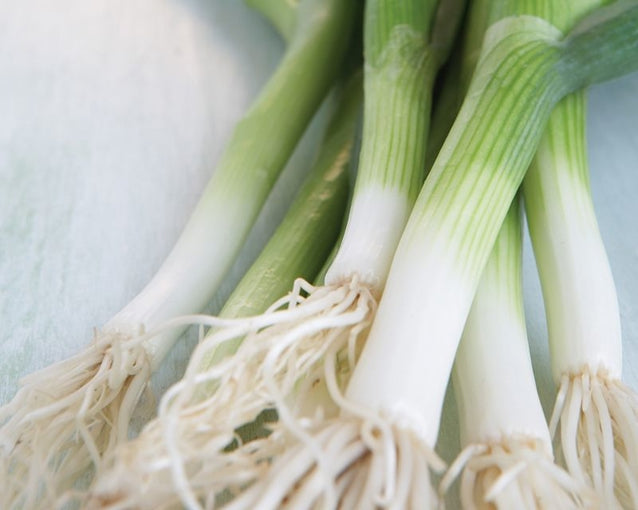 Spring Onion Kimchi